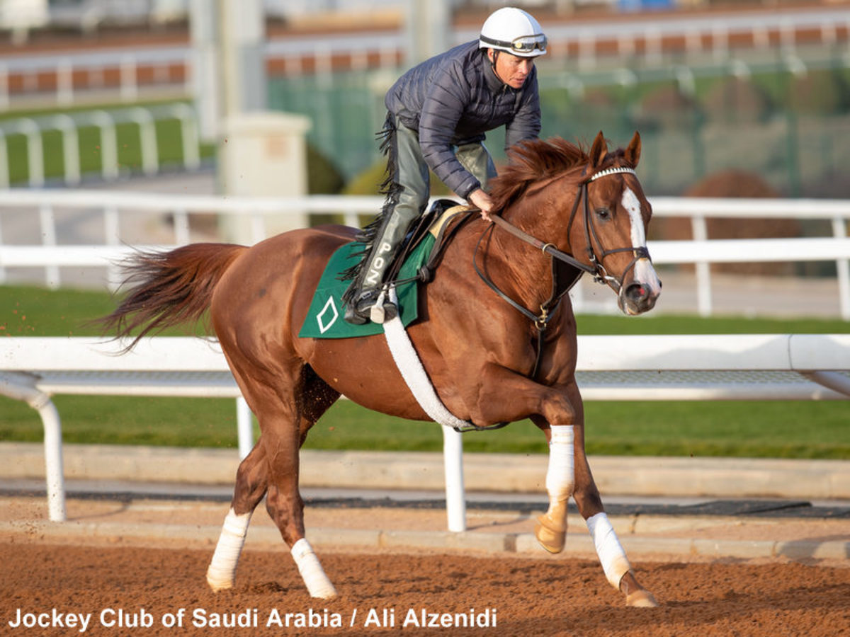 Mott Opts For True North With Reigning Champion Sprinter Elite Power