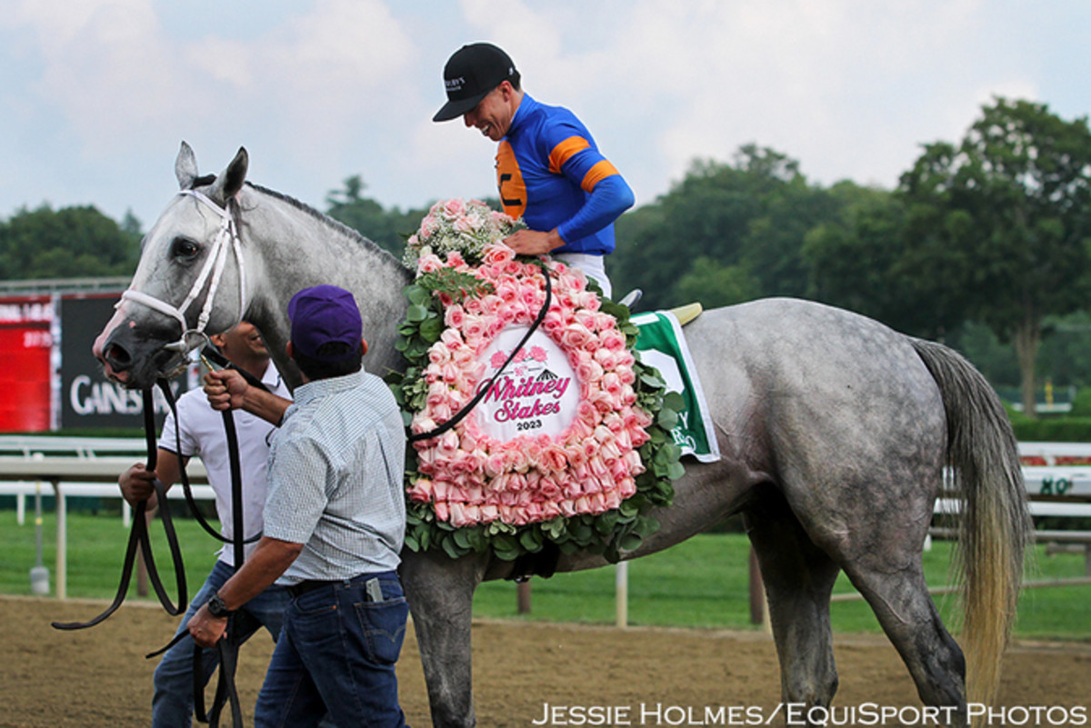 競走馬ハンドブック = THE RACEHORSE HANDBOOK 競走馬ハンドブック = THE RACEHORSE HANDBOOK