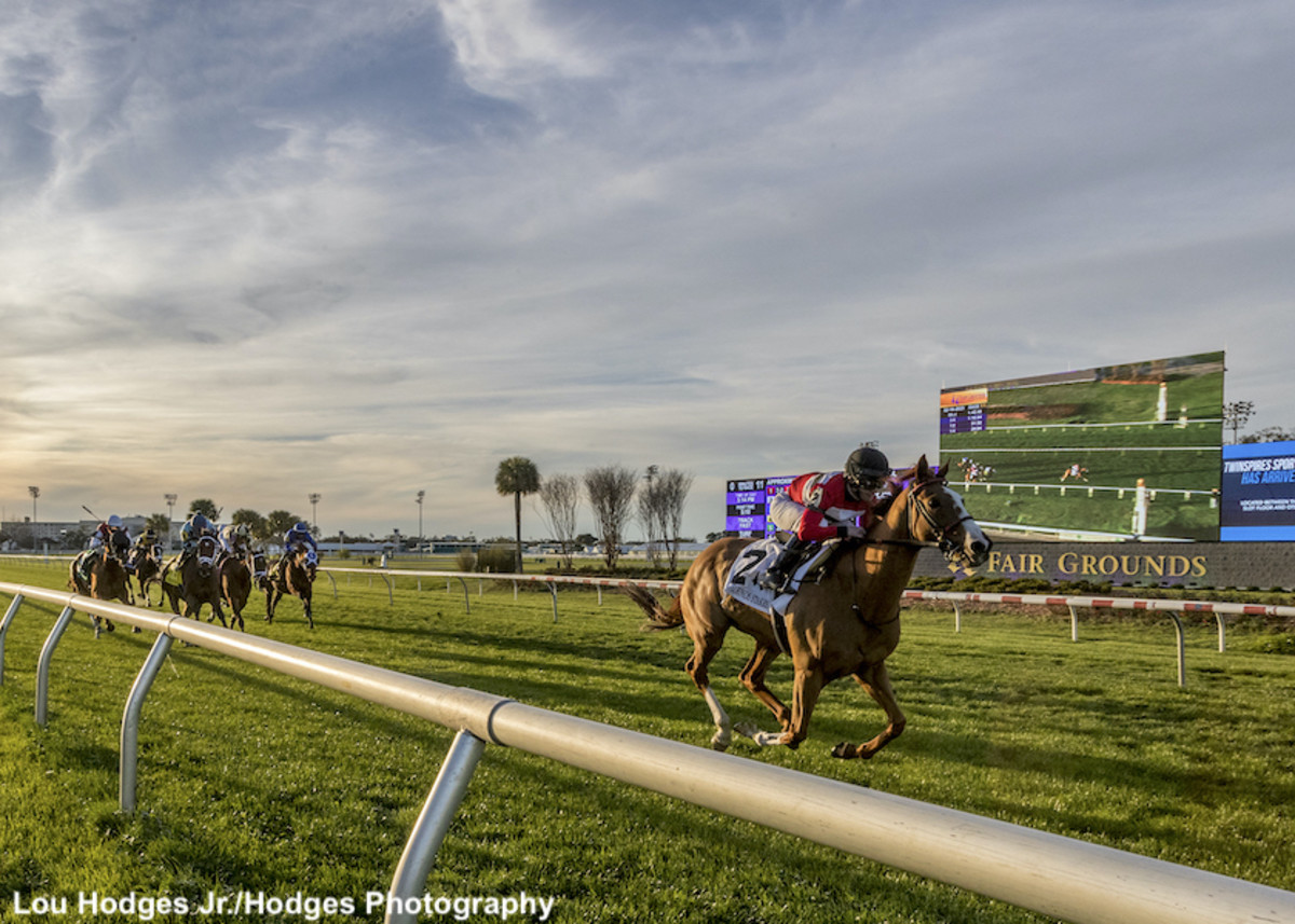 Two Emmys Scores On Front End In Fair Grounds Stakes Paulick Report