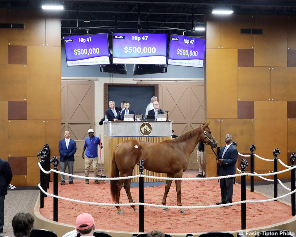 Kantharos Filly Tops Inaugural FasigTipton Midlantic June 2YearOlds