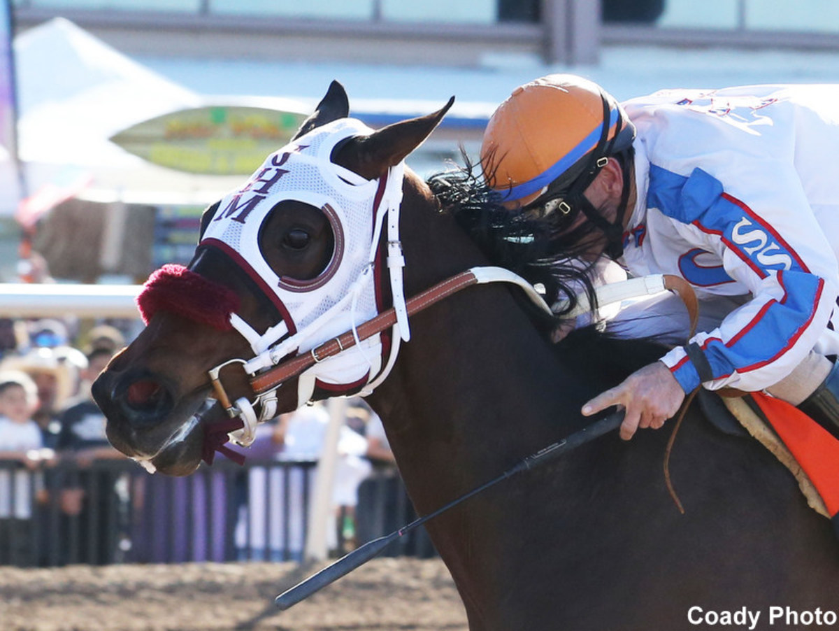 Updated Wild On Ice Suffers Catastrophic Injury In PreDerby Workout