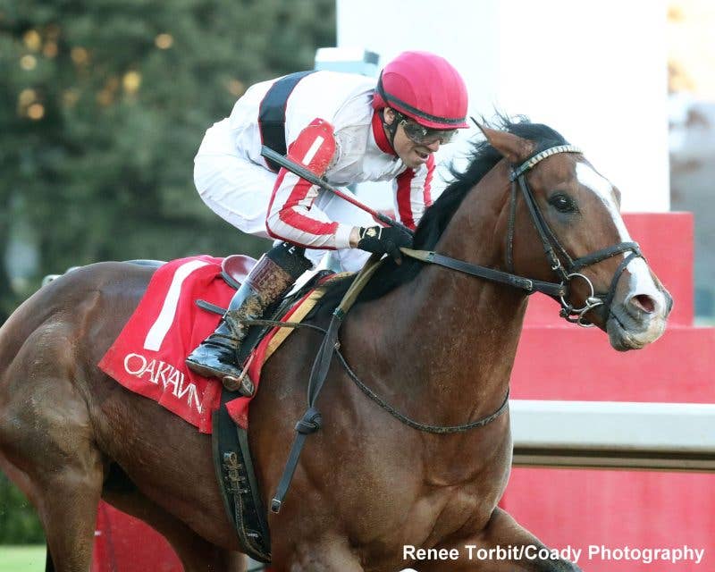 Emmanuel Rider 'One Of Those Underrated Riders': Emmanuel Esquivel Atop Jockey ...