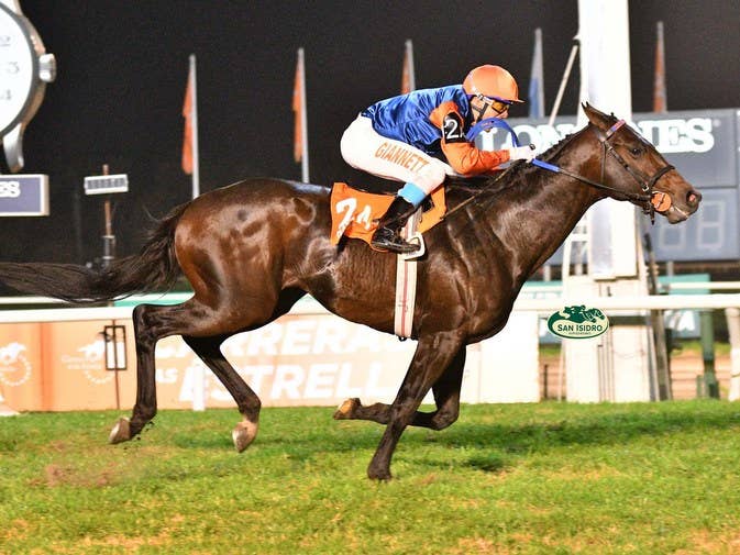 Win And You're In: Natan, Happy Happy Day Headline Gran Premio Carlos ...