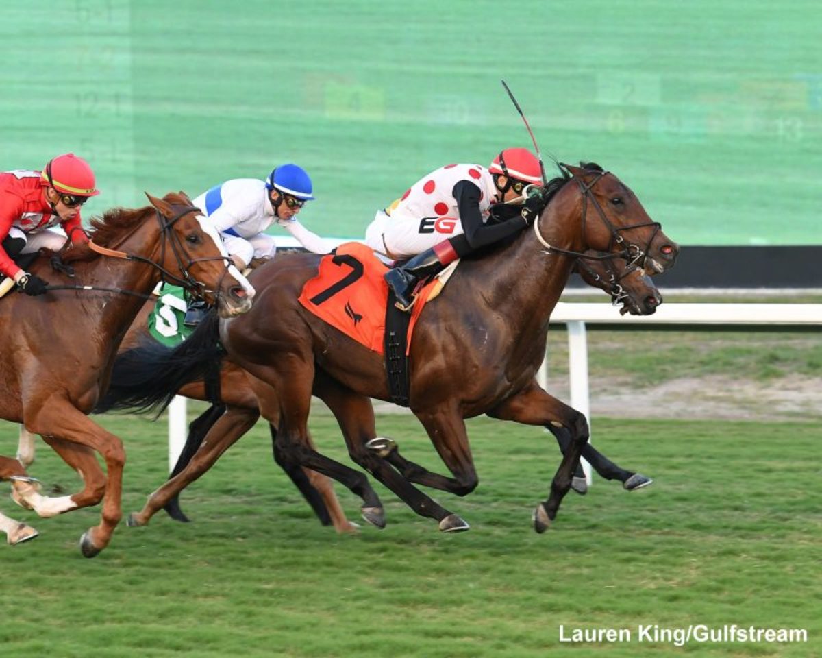 Game Souper Blessing Drives Between Rivals For Tropical Park Derby ...