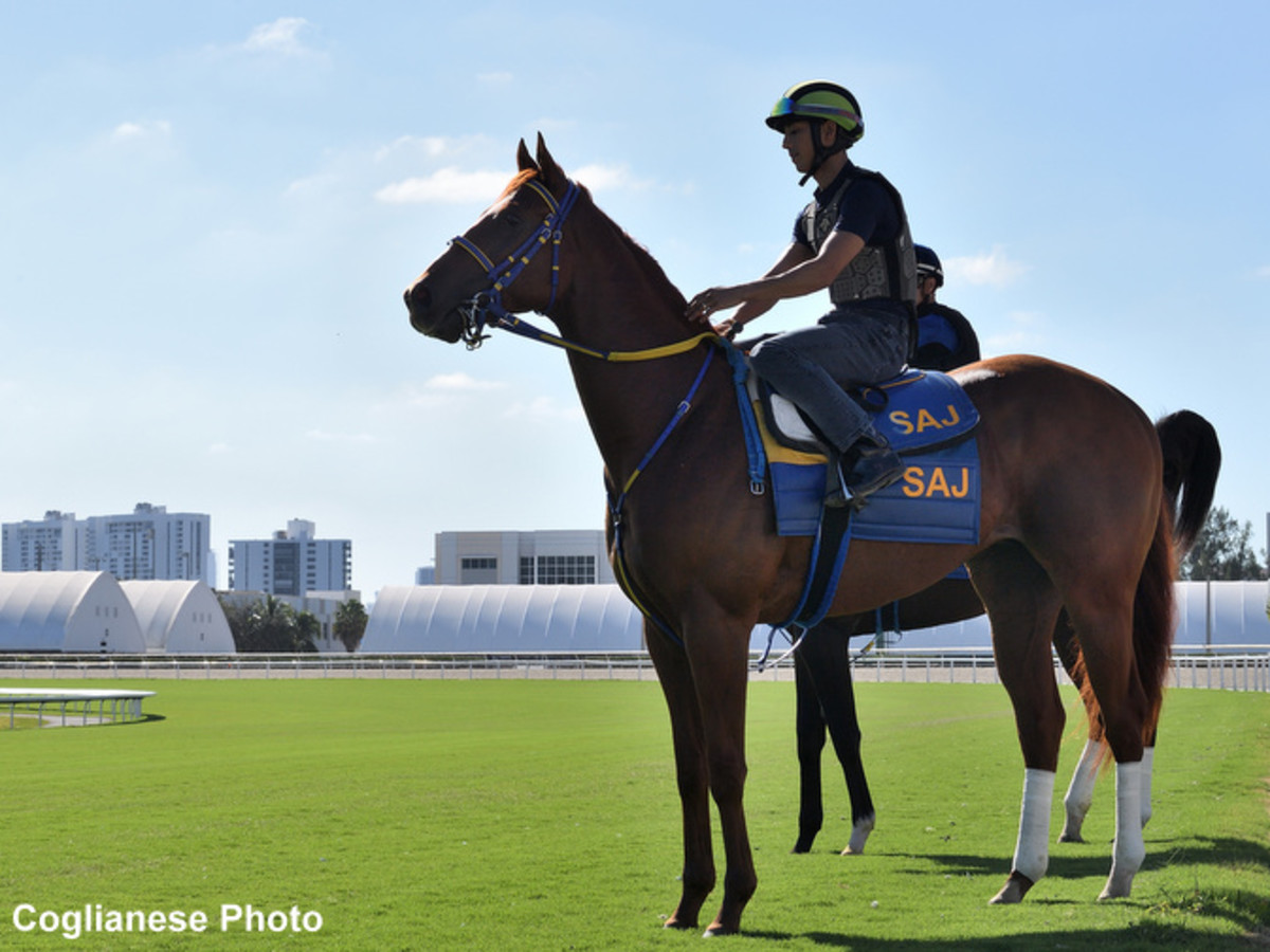 Tropical Turf Pick 3, Rainbow 6 Top Gulfstream’s Championship Betting