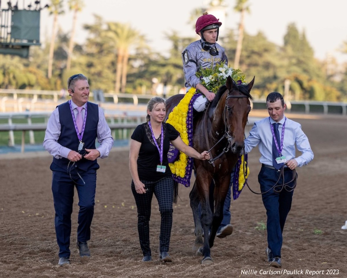 It's Unquestionable That Aidan O'Brien Is King Of Breeders' Cup