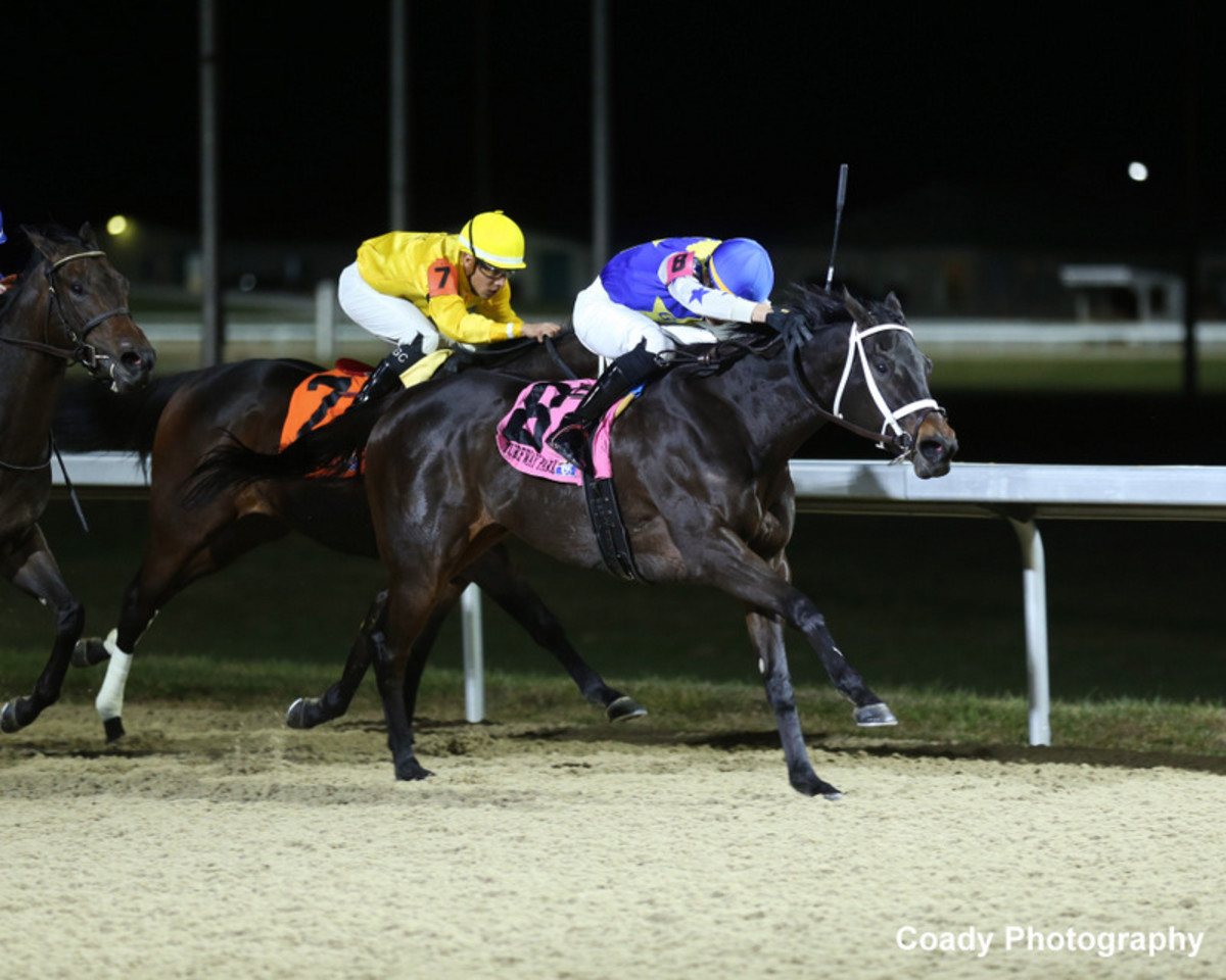 Julias Dream, Candi Girl Vie For First Stakes Win In Turfway's Gowell ...