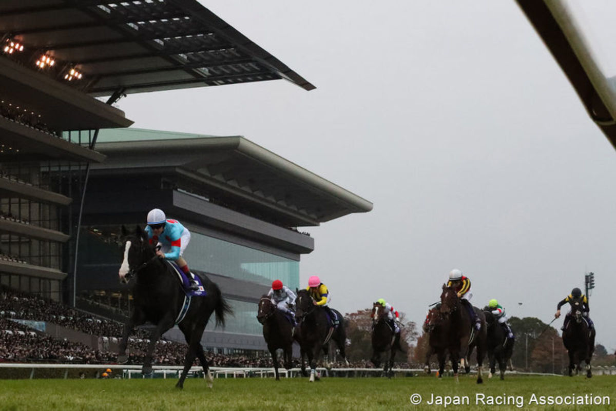 WATCH: Equinox Overwhelms Rivals In Japan Cup - Paulick Report ...