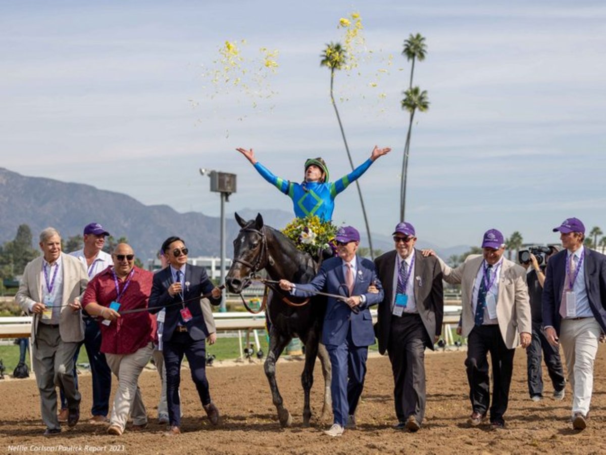 Breeders Cup Presents Connections Goodnight Olive Gave Owners