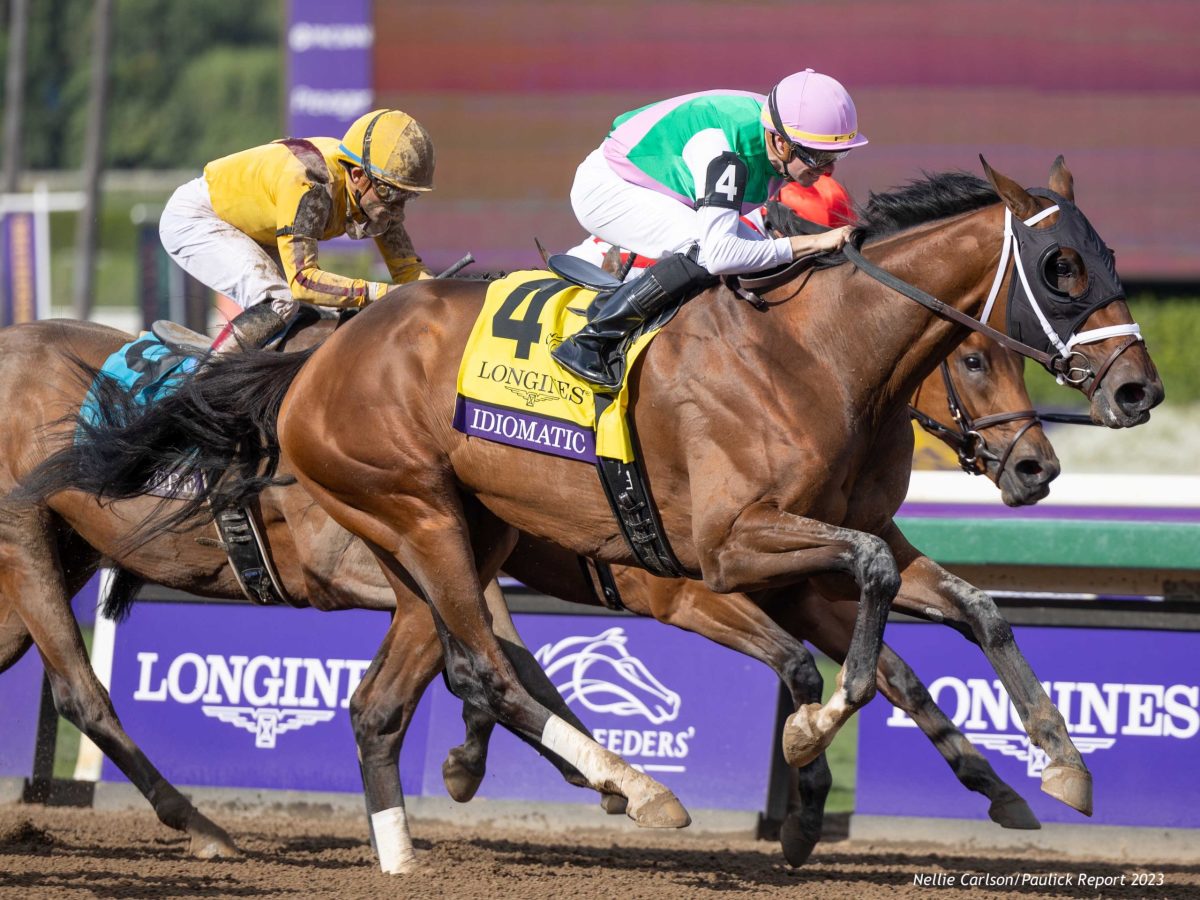 Longines discount breeders cup