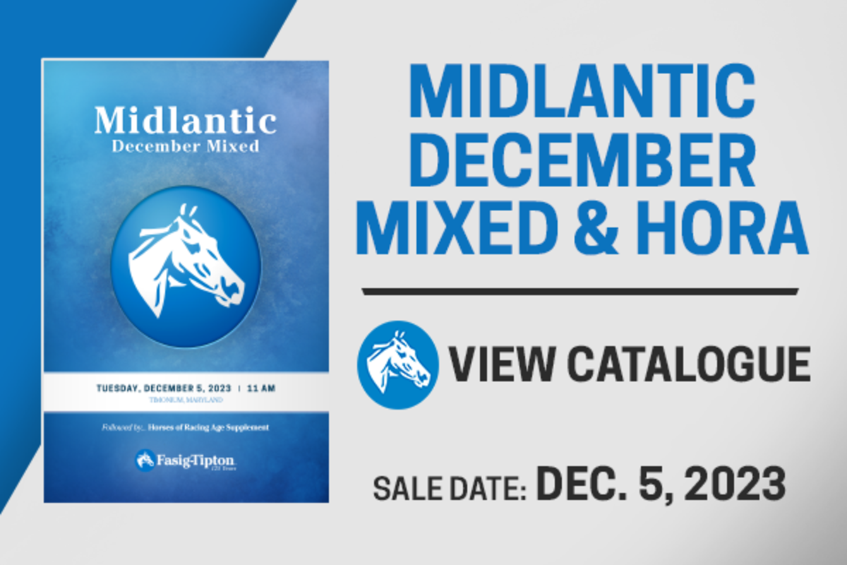 FasigTipton Catalogs 60 Supplemental Horses Of Racing Age For Midlantic December Mixed Sale