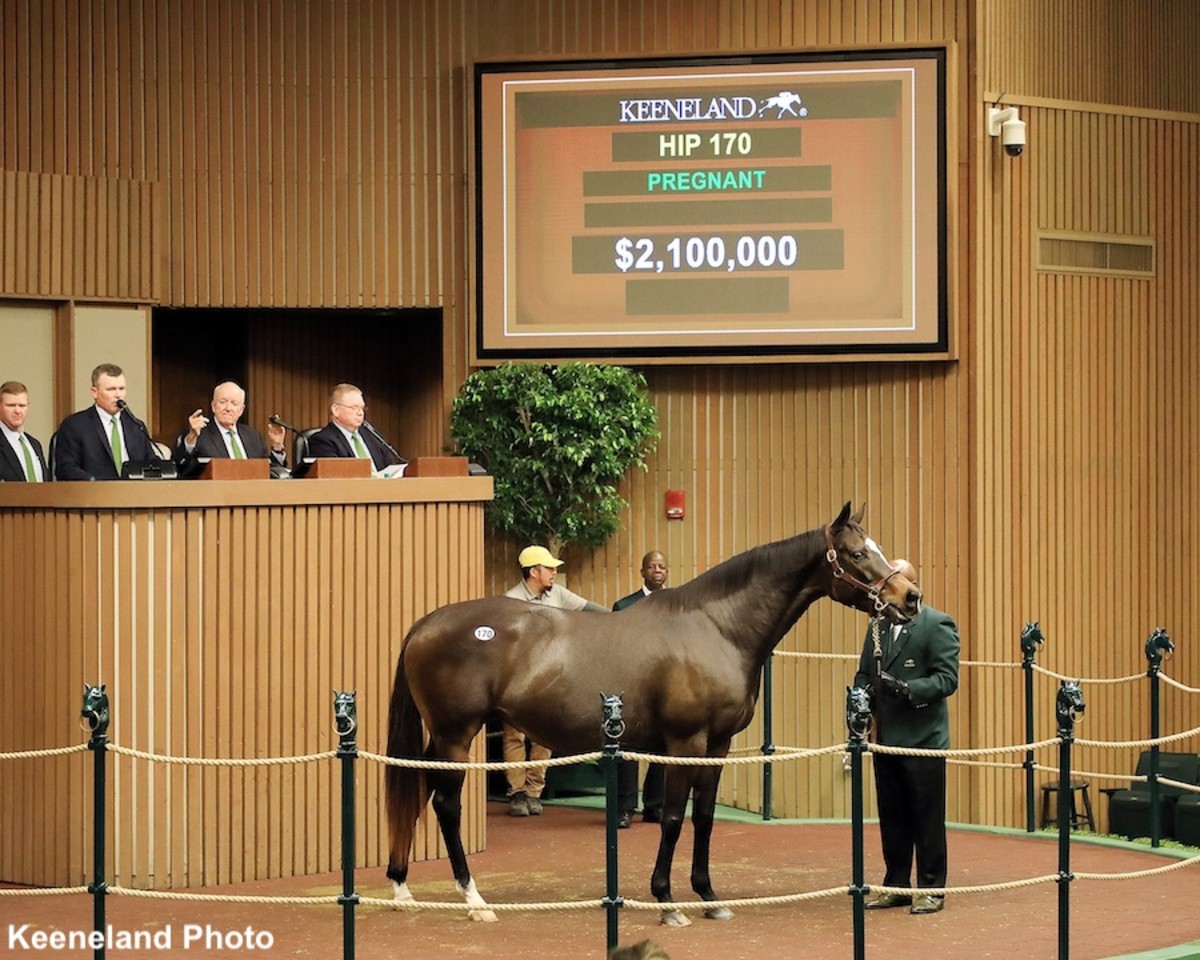 Keeneland November Sale Posts Solid Results Led By Strong Weanling