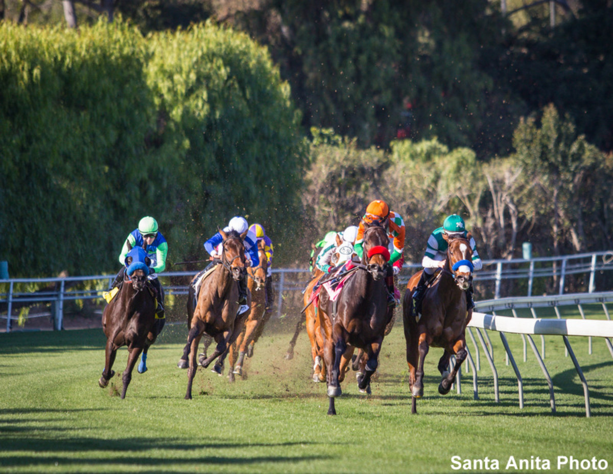 California Future Our Purses Just Have To Be Higher Or There Is A   Santa Anita Park 