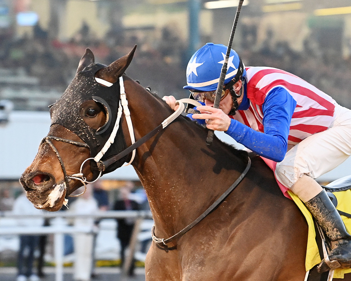 Jockey womens Classic