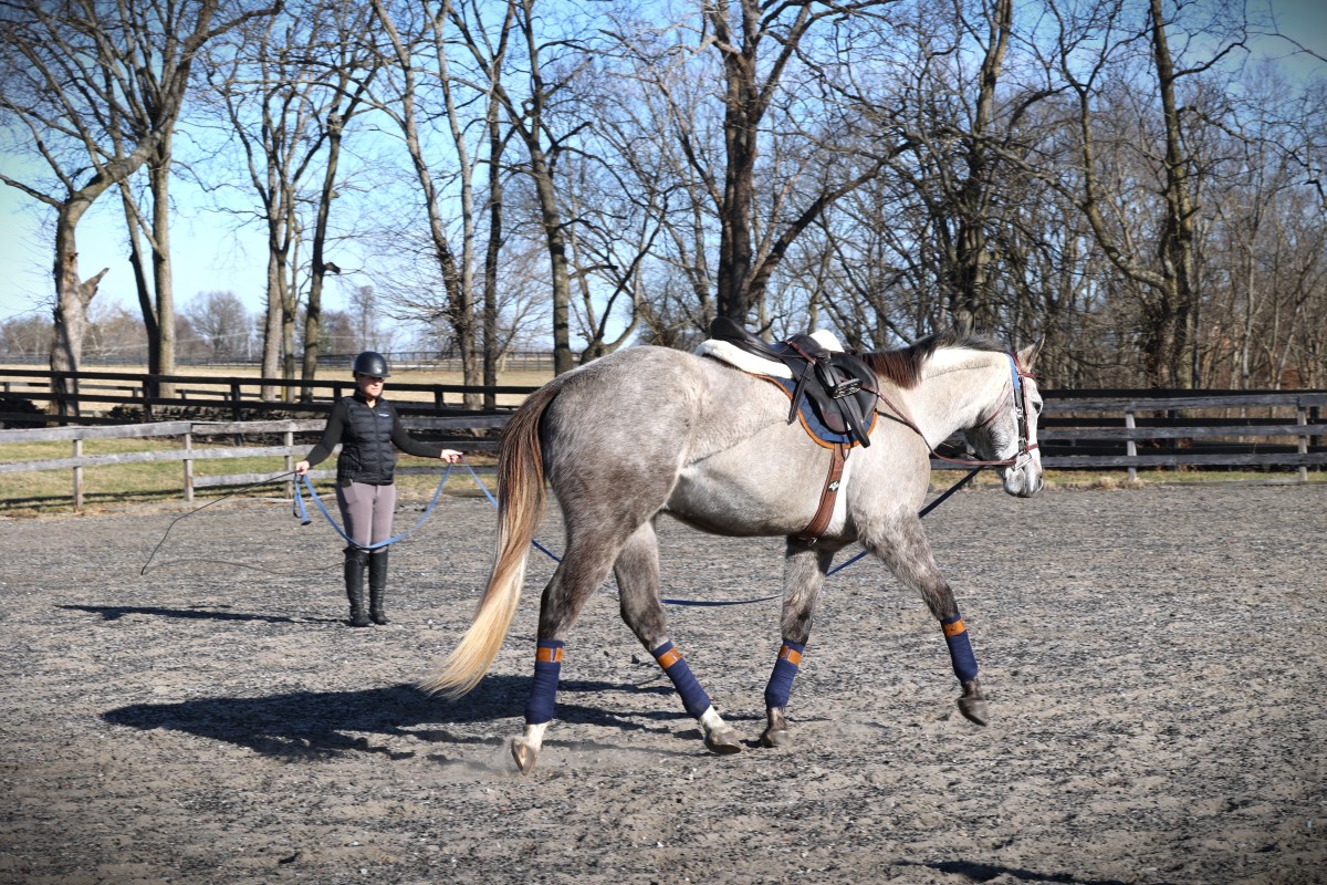 OTTB Training Toolkit Presented by Doc Lane's Veterinary Pharmacy