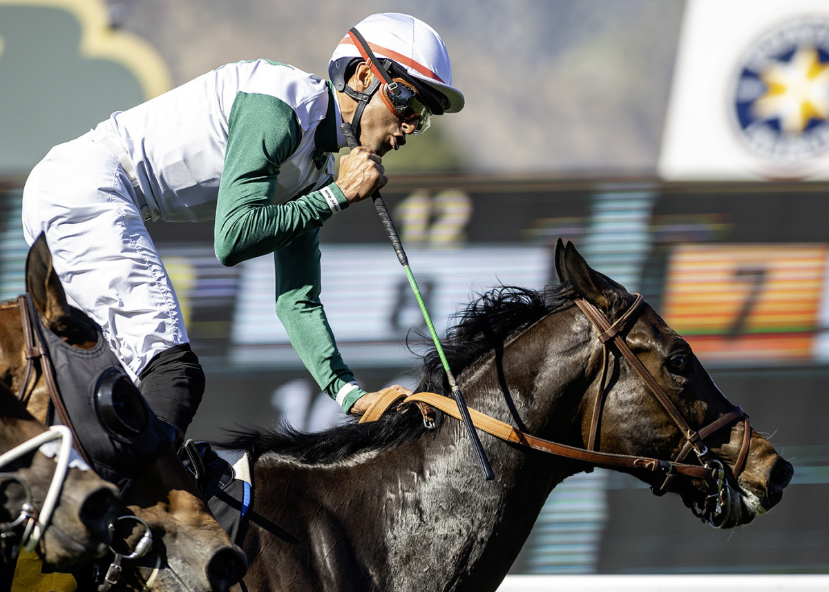 Equibase Analysis Supersonic Blue The One To Catch In Paradise Creek