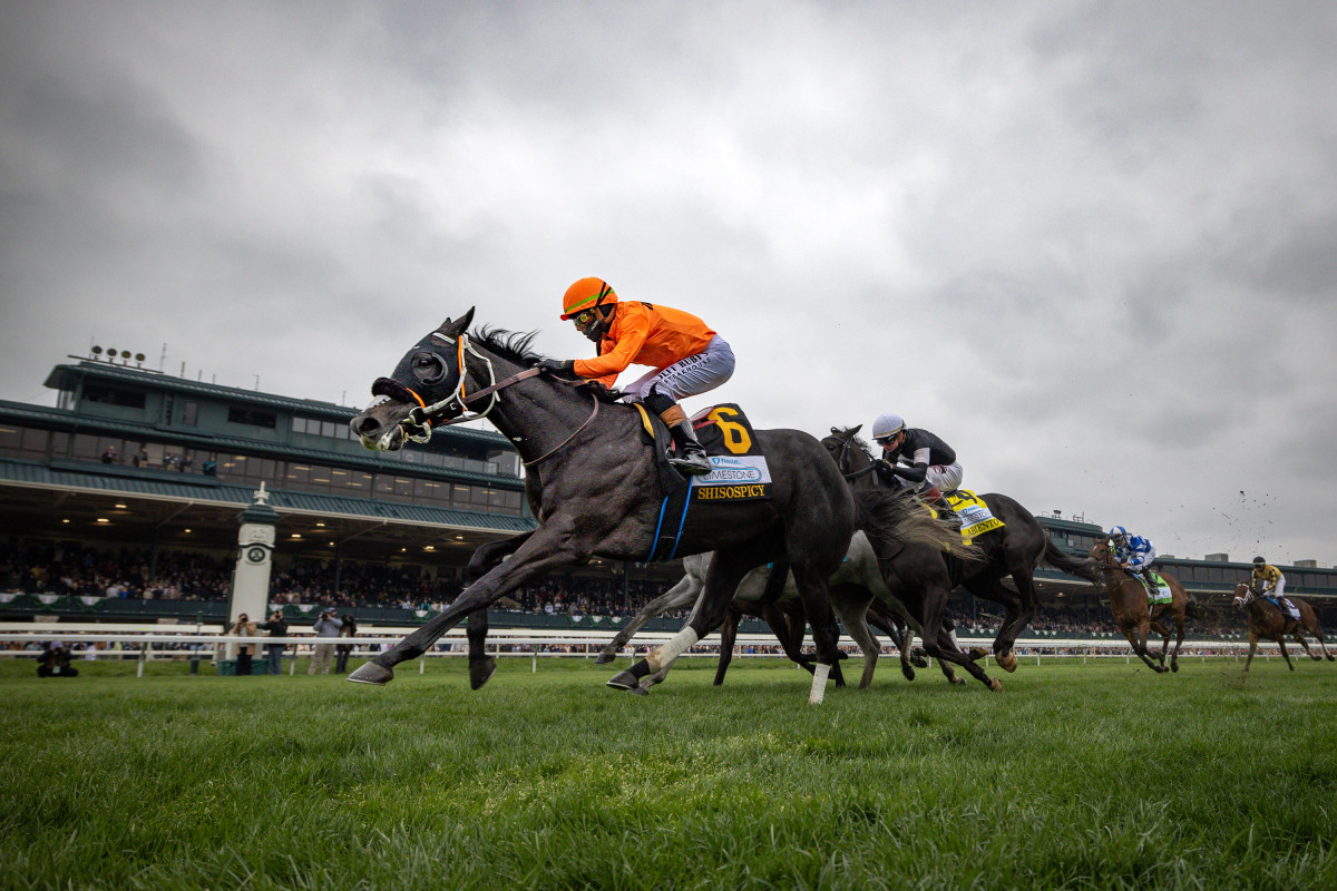 Shisospicy Heads Mamzelle, Coming Off Limestone Win - Paulick