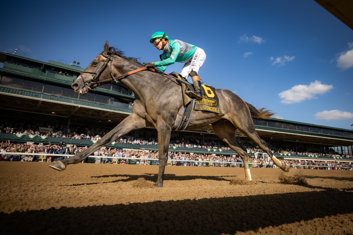 Equibase Analysis Gosger Gets Slight Preference In Haskell Paulick