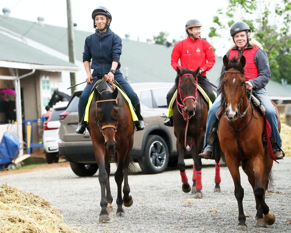 Equibase Charts Prior Races Of JapanBased Entrants For Kentucky Derby