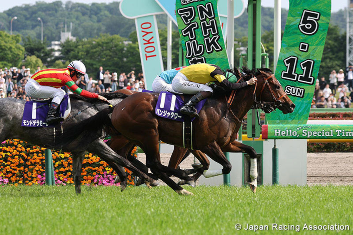 Panja Tower Takes NHK Mile Cup In Thrilling Finish In Tokyo
