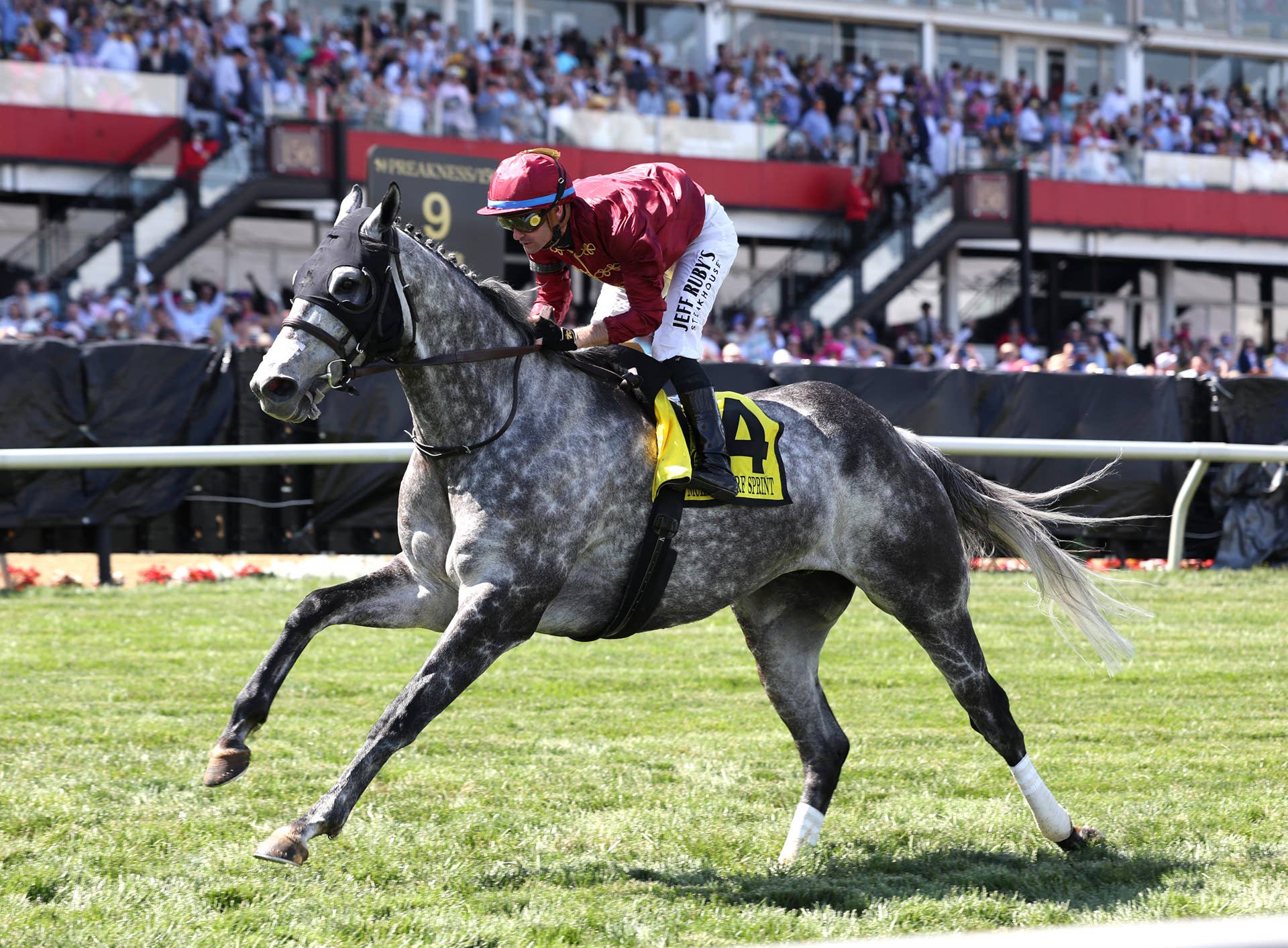 Witty Cements Last-To-First Rally With Late Surge In Jim McKay Turf ...