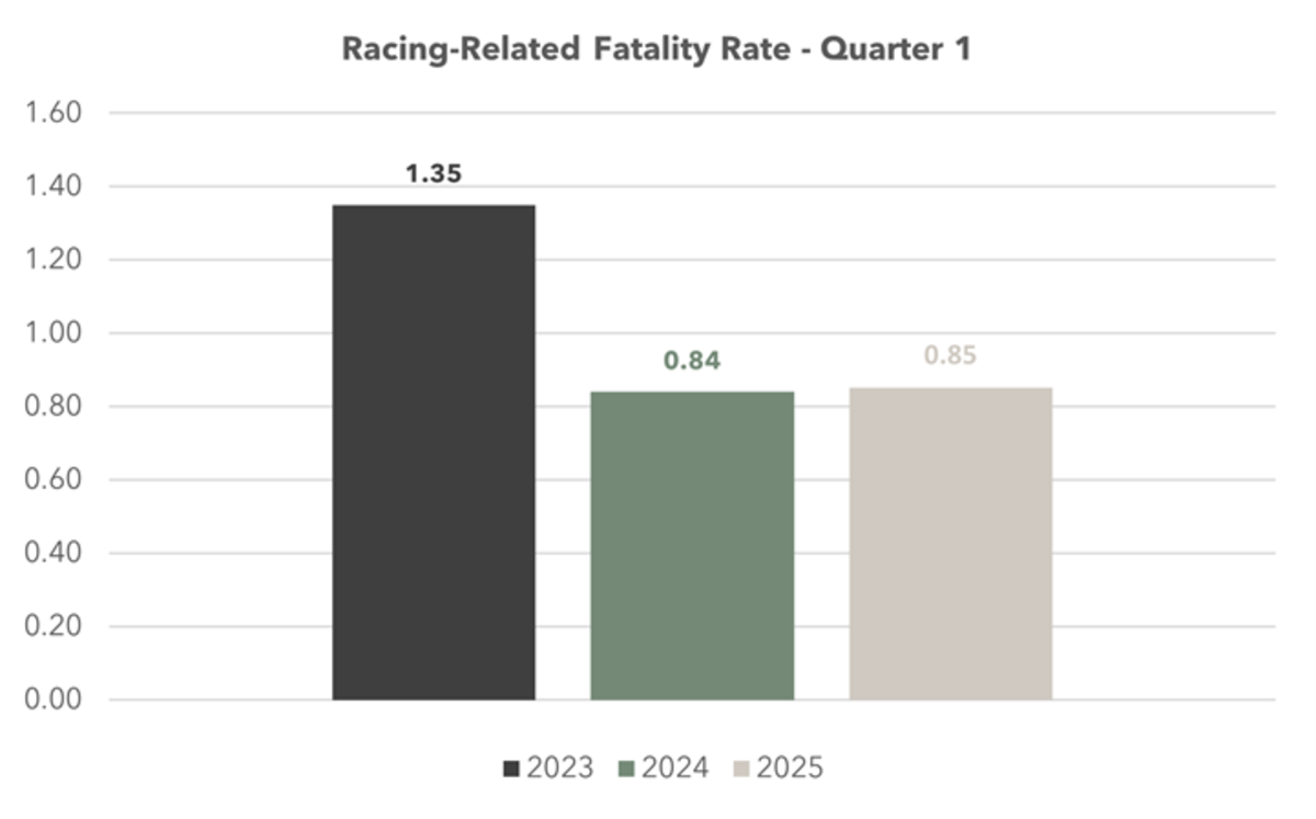 HISA Report Now Includes Classifications For Equine Fatalities ...