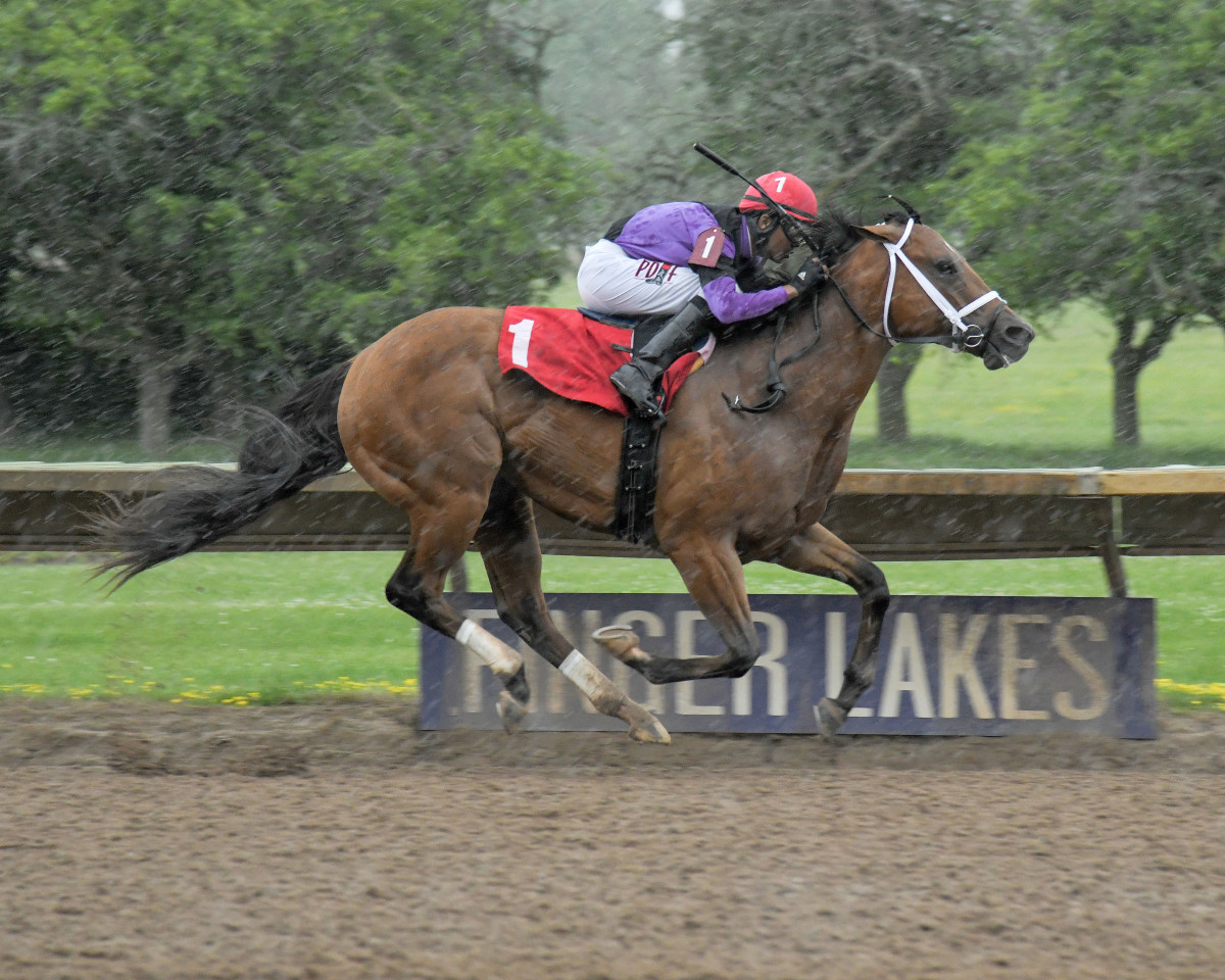 George W. Barker stakes favorite Looms Boldly winning the $50,000 Ontario County stakes here in 2023