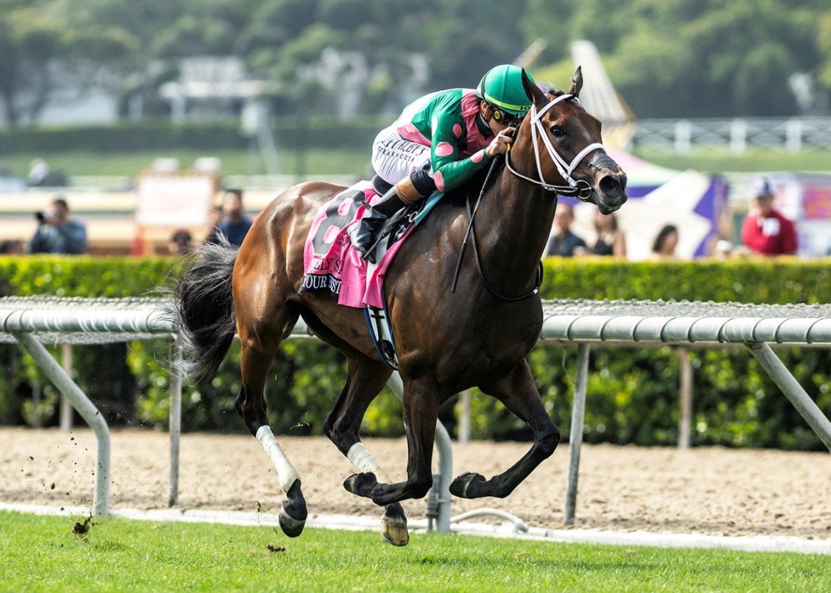 Be Your Best Earns First Grade 1 With Front-Running Score In Gamely -  Paulick Report | Latest news and commentary from the horse racing and  equine world