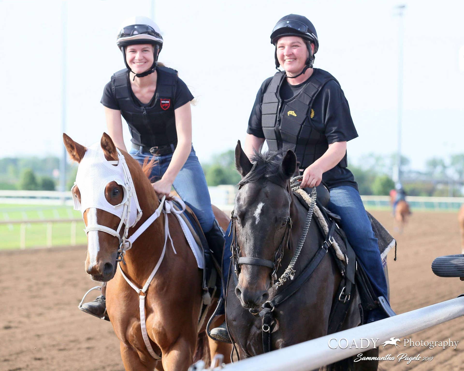 Role At Ractrack 'Horse Nobody Wanted' Now Serves Vital Role As Racetrack Lead Pony ...