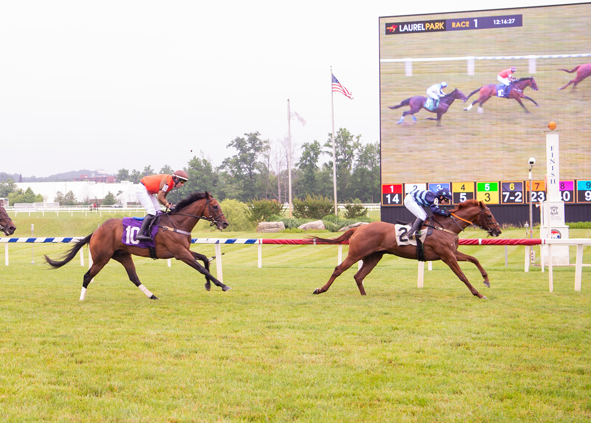 'Jumped Like A Superstar': Holey Moley Wins Laurel Park's First ...