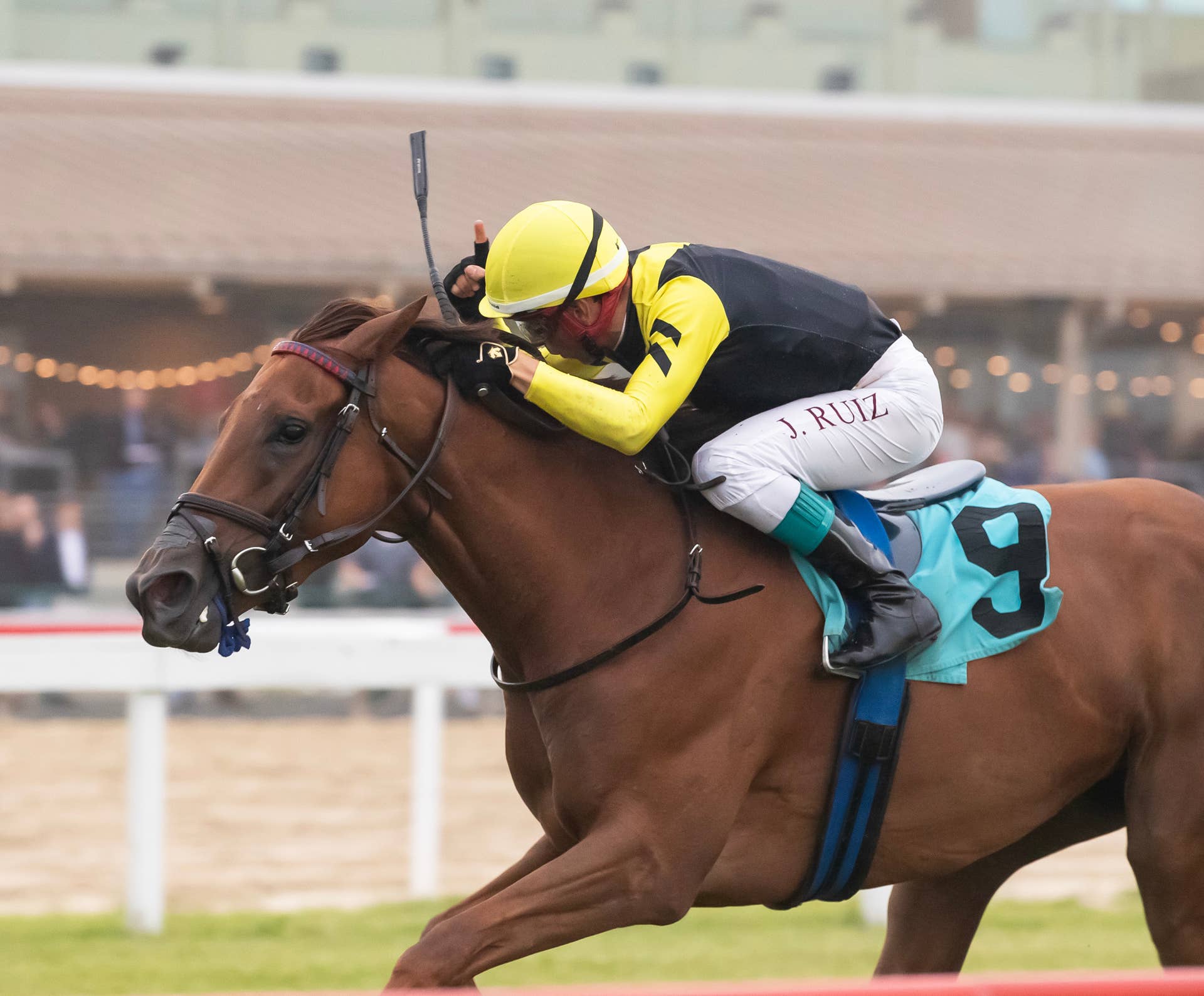 Dream On Takes Twice-Postponed Penn Mile Over Yielding Turf, Laurelin ...