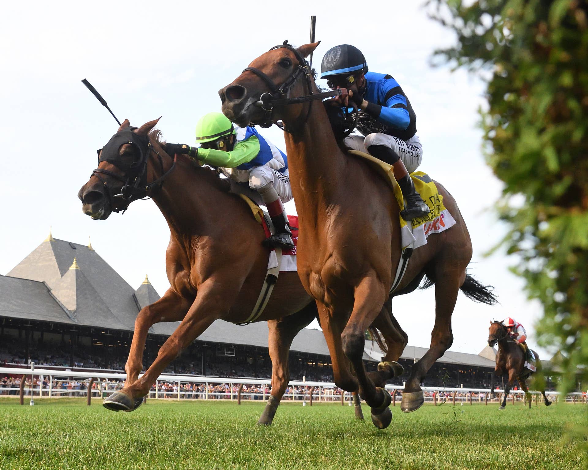 Excellent Truth Chad Brown Continues Diana Dominance As Excellent Truth Denies She ...