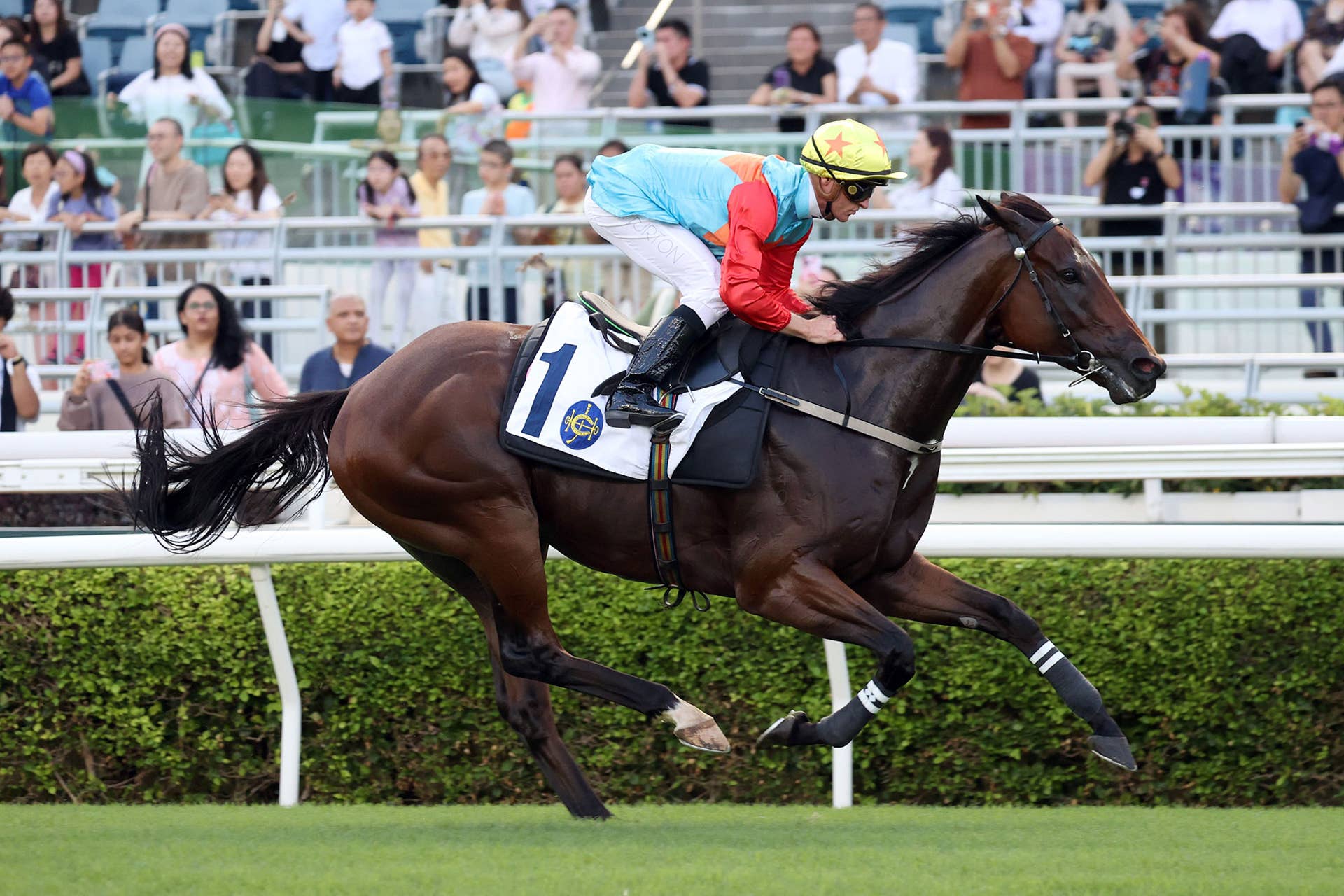 Kayin Rising Hong Kong Star Ka Ying Rising Impresses In Sha Tin Barrier Trial ...