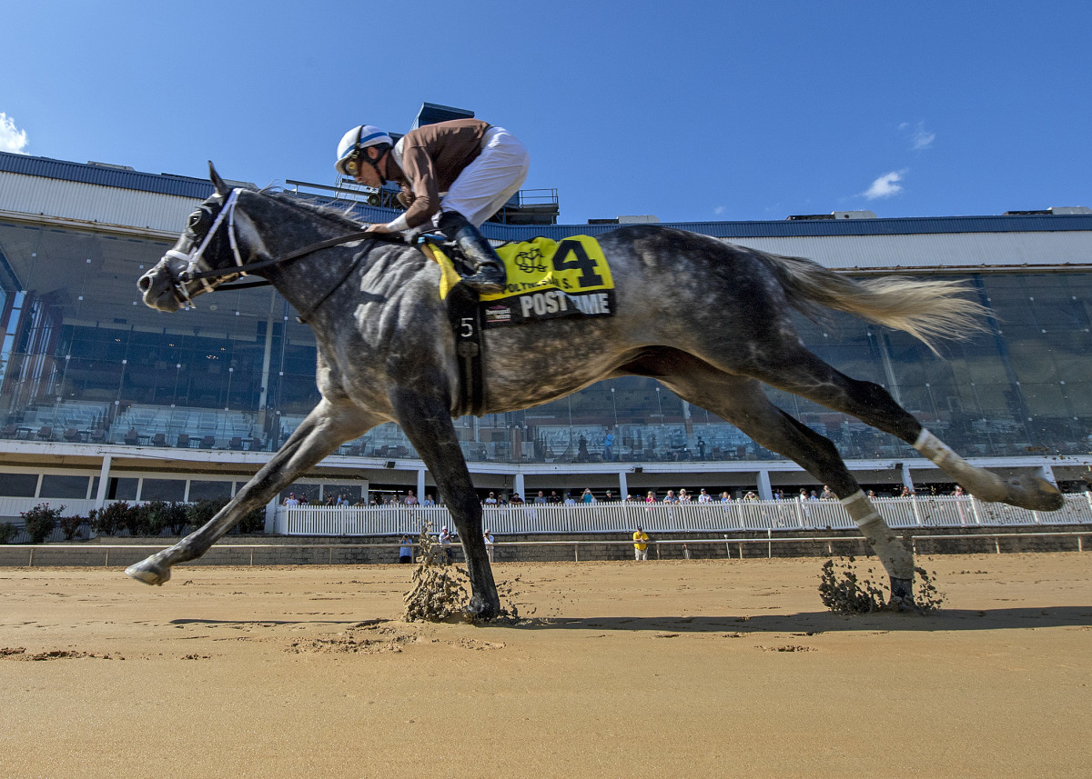 Post Time Heads 244 Maryland Million Pre-Entries - Paulick Report ...