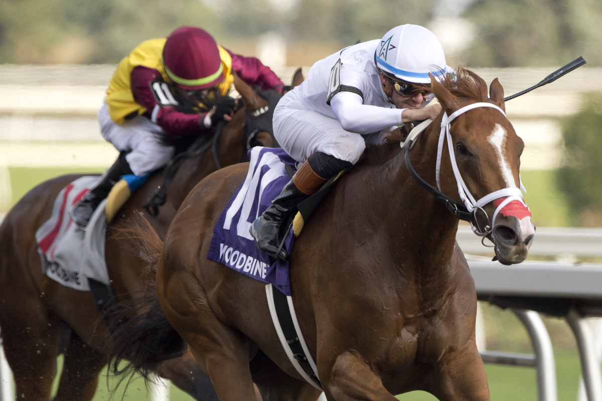 Caitlinhergrtness, with Flavien Prat aboard, wins the Ontario Matron (G3) at Woodbine