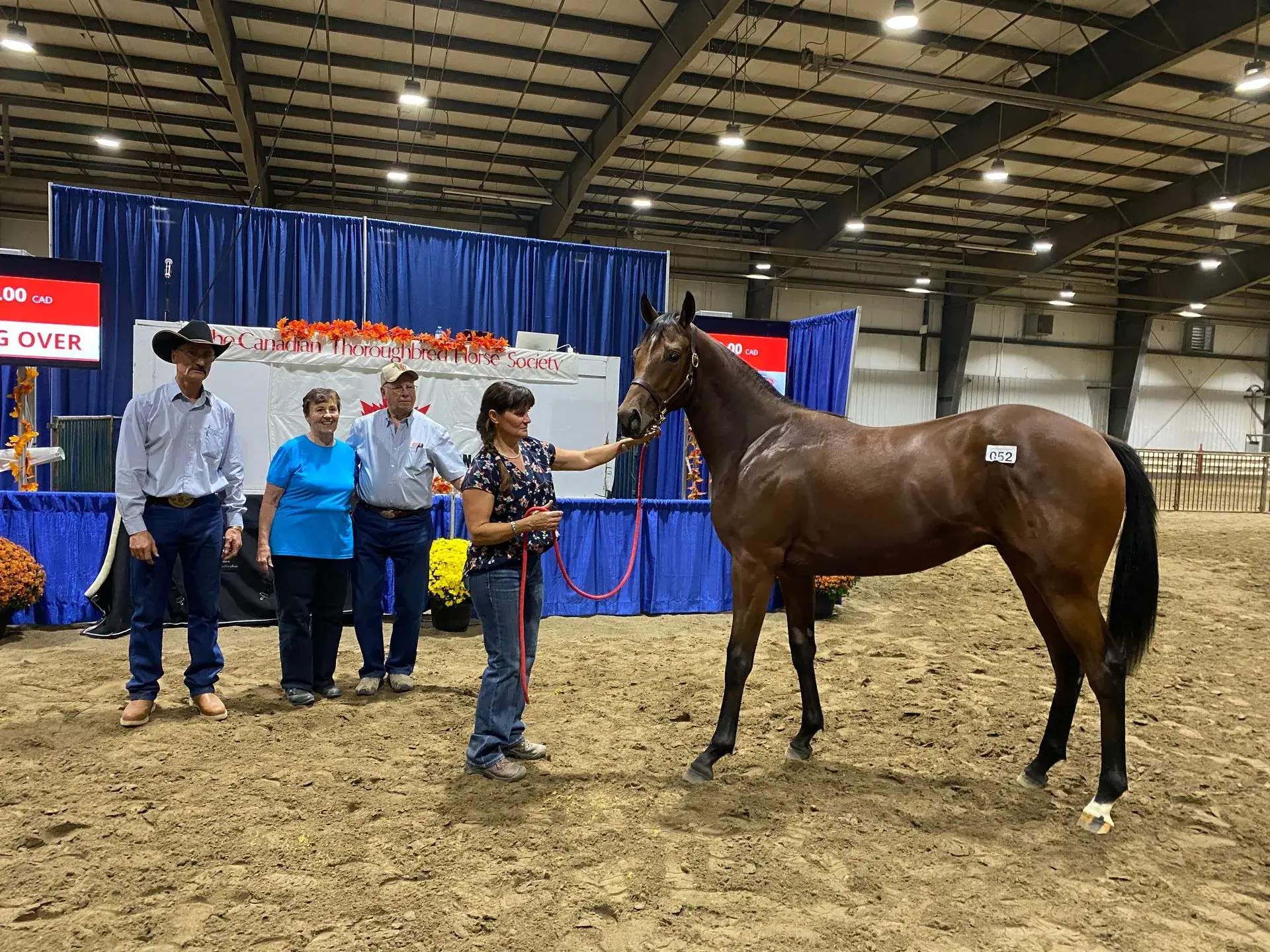 'Strong Competition From Start To Finish': CTHS Alberta Thoroughbred ...