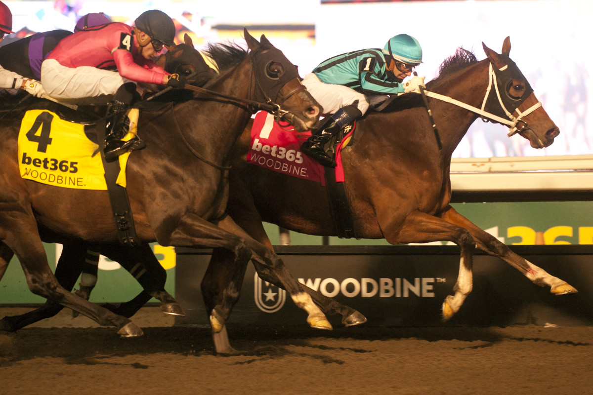 GREAT HORSE!': Nobals Scores Kennedy Road Repeat At Woodbine