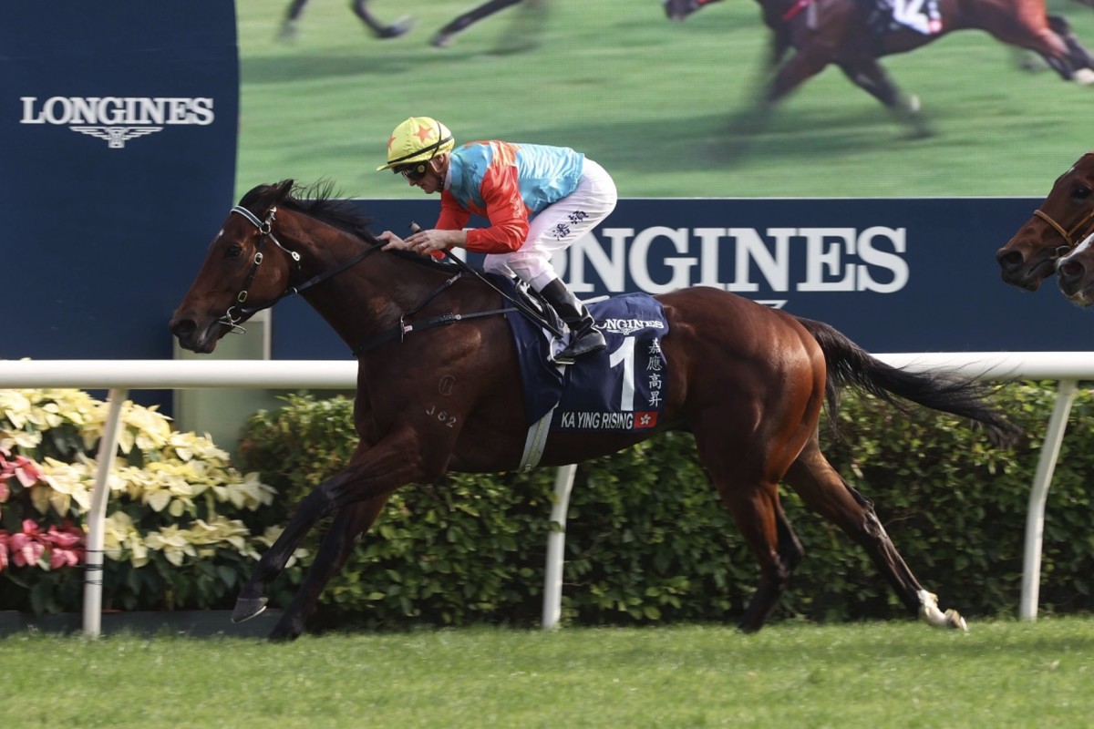 Hong Kong Racing Insights: 2025 Longines Hong Kong International Races ...