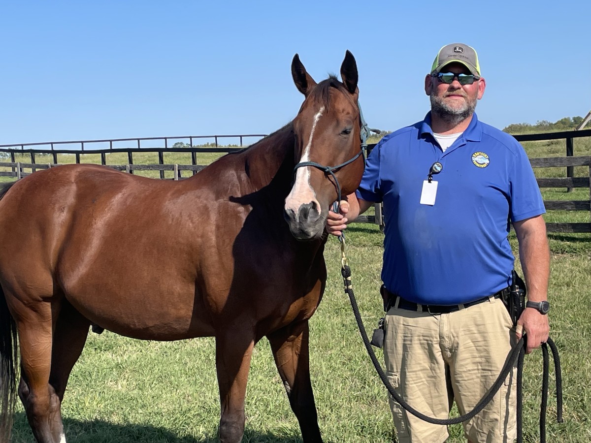 At Blackburn, Horses 'Teach These Guys Compassion And Turn Them Into