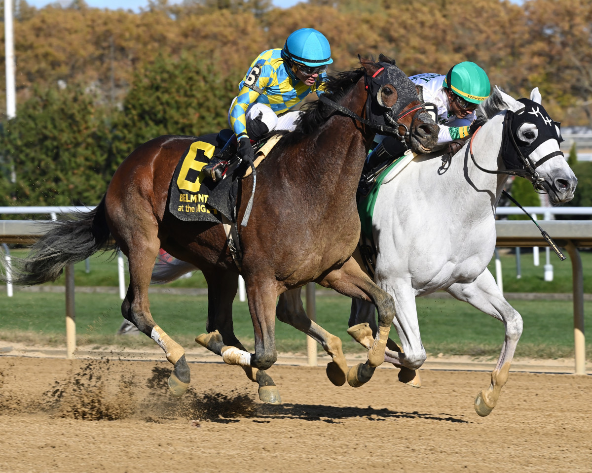 Runninsonofagun Lands Bold Ruler On DQ - Paulick Report | Latest news ...