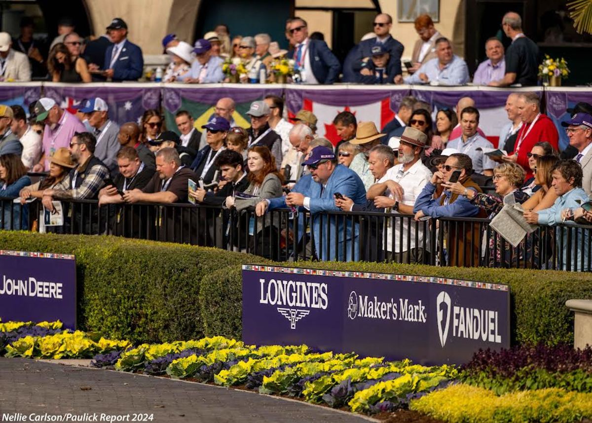 Fans at Del Mar getting a look at the horses in the paddock during the 2024 Breeders' Cup