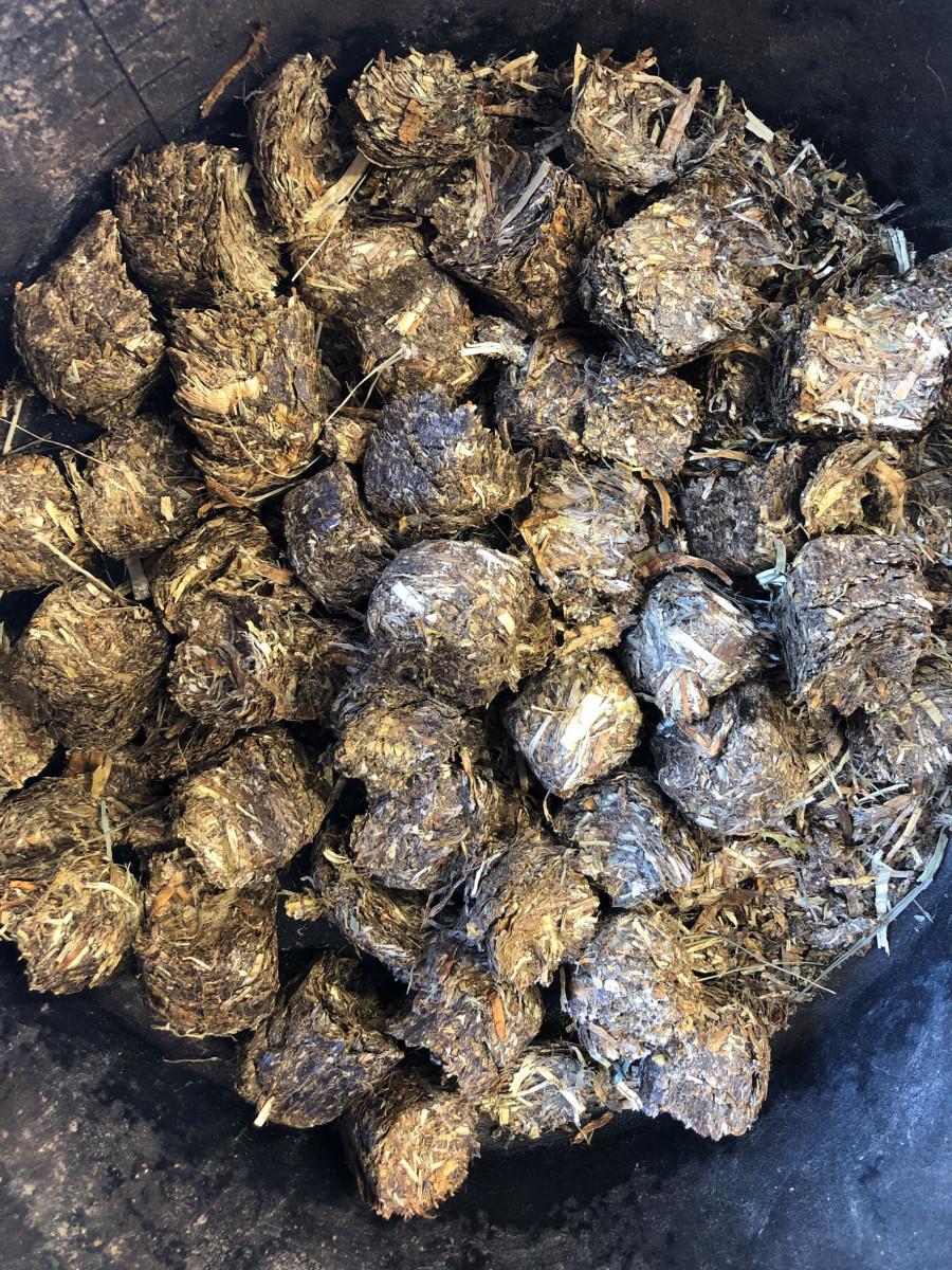 When Hay Is In Short Supply, What's A Horse To Do? Paulick Report