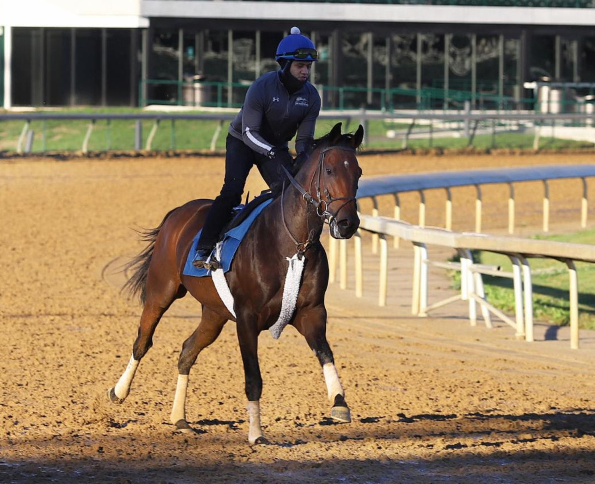 From Arizona Ranch Horse To Claiming Crown Hoodlum On Best Behavior