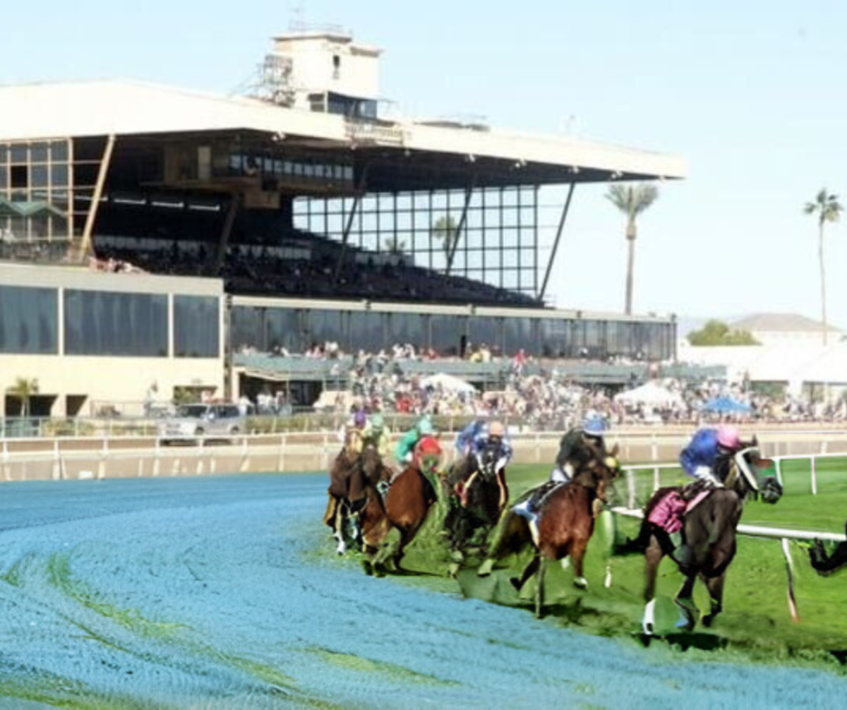 I Don t Know How A Horse Would React Turf Paradise Planning To Turn i-don-t-know-how-a-horse-would-react-turf-paradise-planning-to-turn