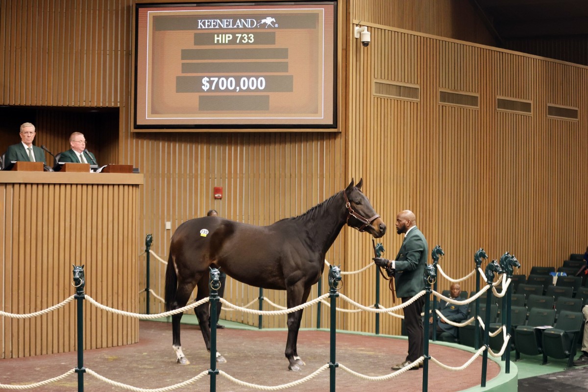 Hip 733, Love to Shop, sells for $700,000 at the 2025 Keeneland January Sale