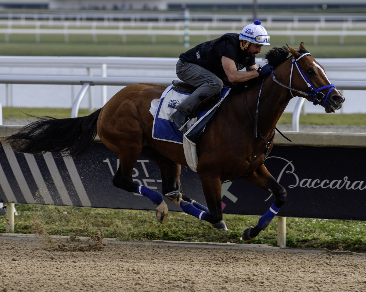 Mystik Dan Drills 'Happy FiveEighths' At Gulfstream Ahead Of Pegasus