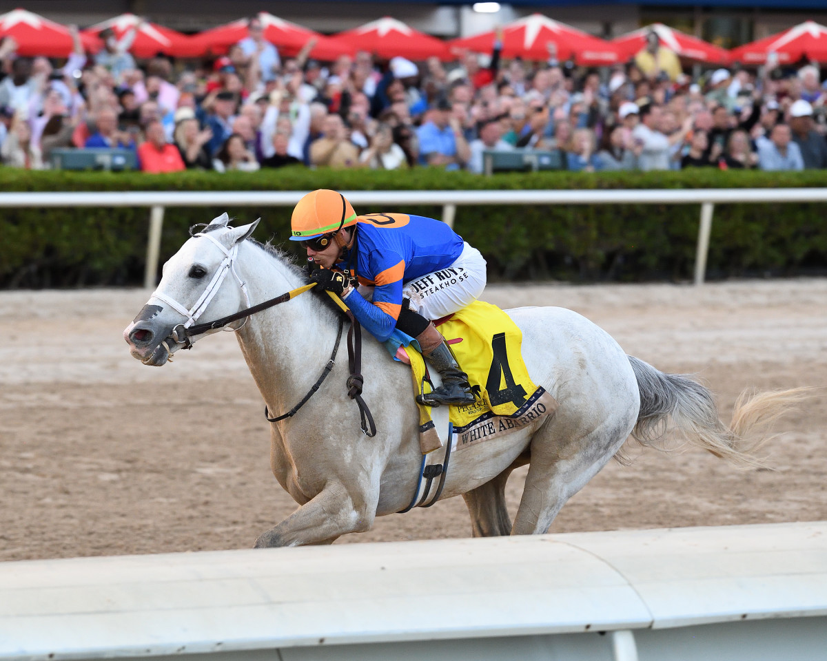 Saudi Cup Possible For Pegasus World Cup Victor White Abarrio Paulick