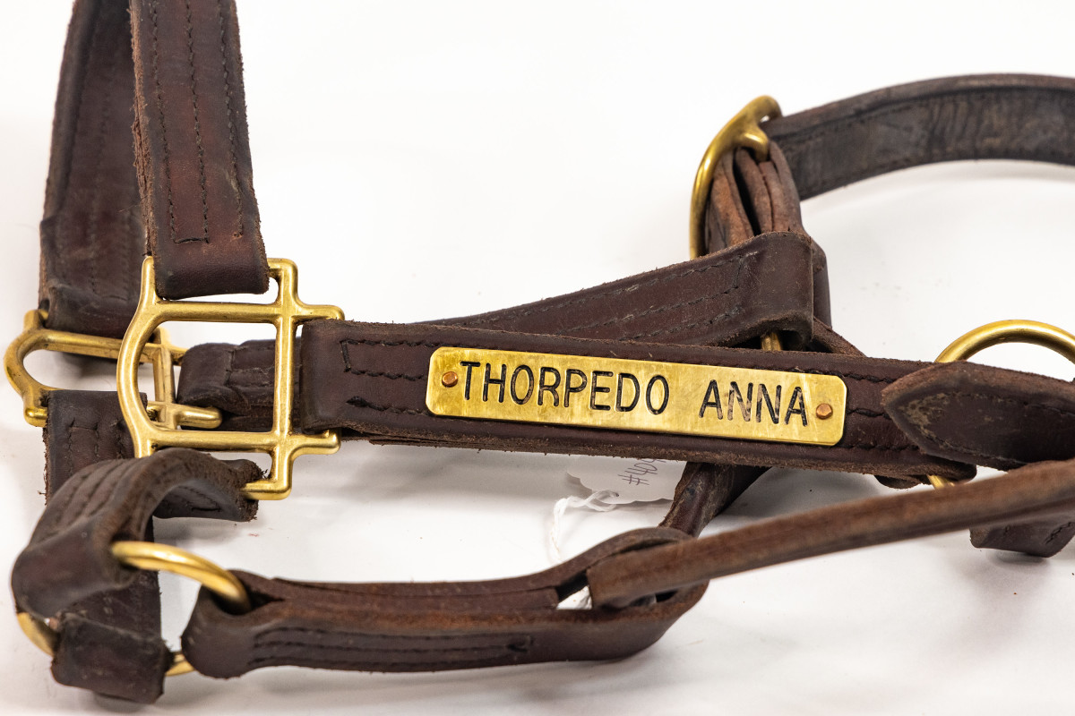 Thorpedo Anna Halter Up For Auction To Benefit CASA Of Lexington ...