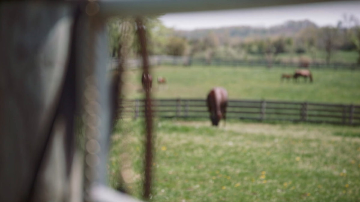 ride of a lifetime the smarty jones story trailer Paulick Report