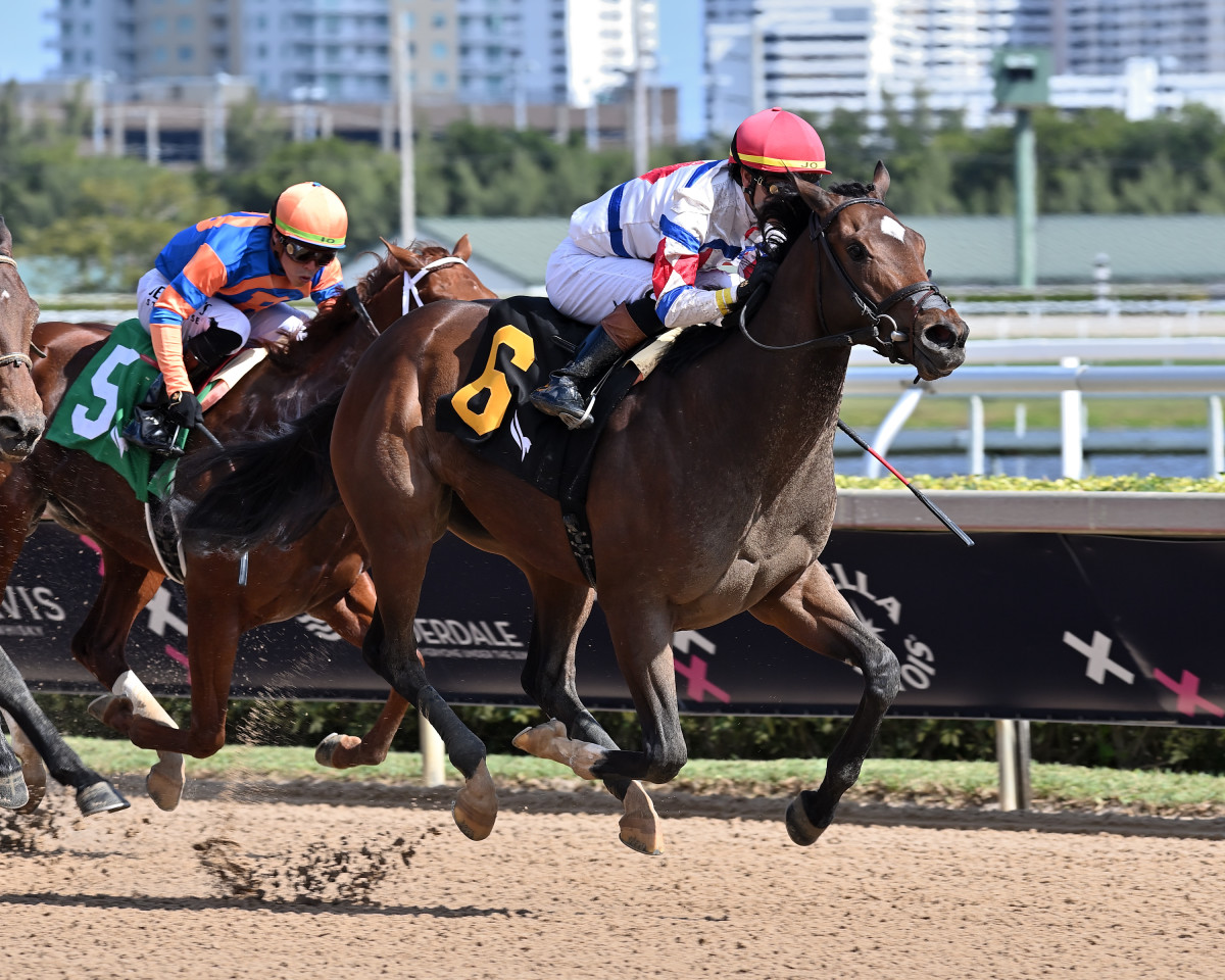 'Very Gritty' Jimmy's Dailys Makes Stakes Debut In Florida Derby ...